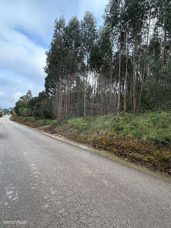 Terreno  para venda - Grande imagem: 4/15