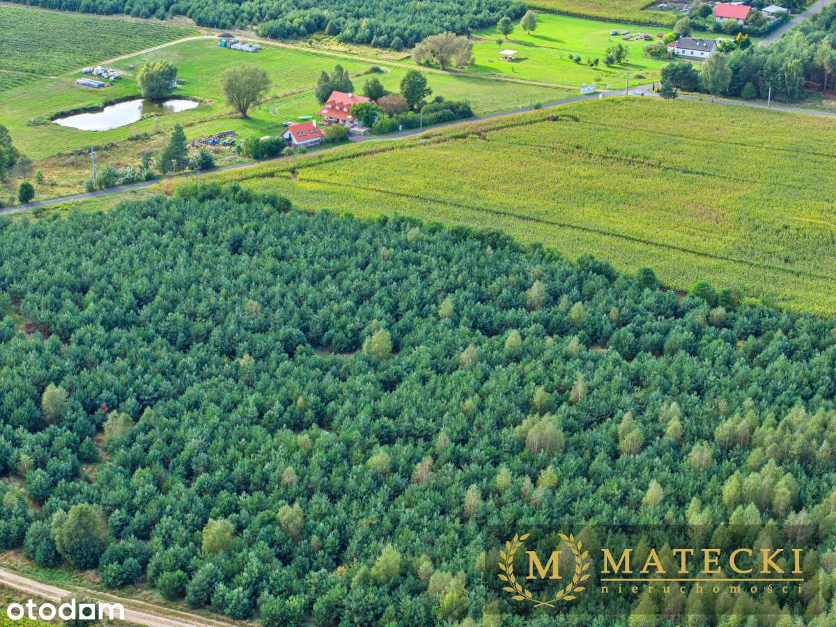 Wyjątkowa, duża działka z drzewami-8