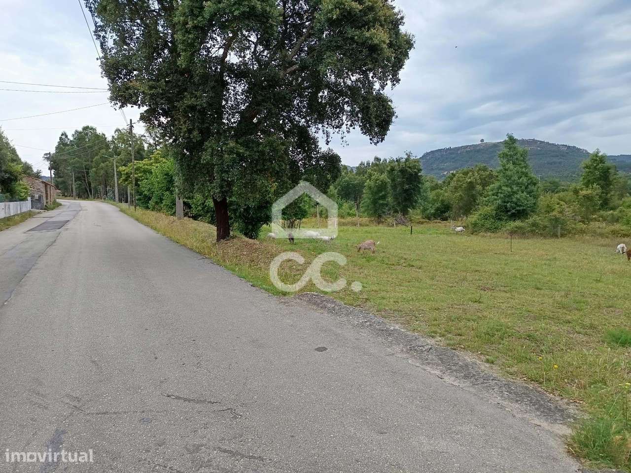 Terreno com 54.809m2 em Vila Nova de Poiares. - Grande imagem: 5/7