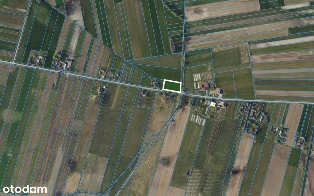 Działka rolno-budowlana 3503 m² Albinów Głowno - Pełny obrazek: 4/5