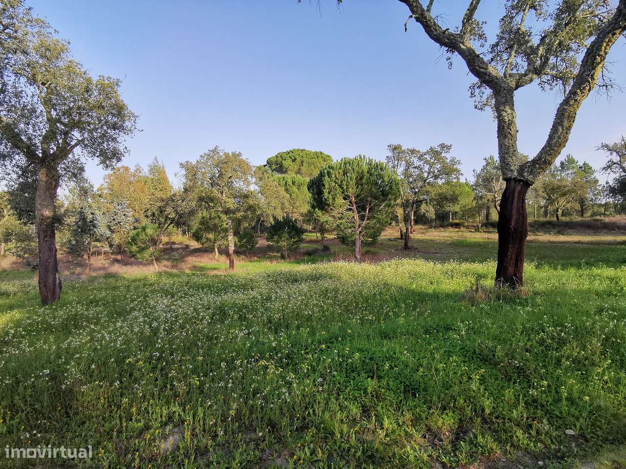 Moradia T2  Lamarosa de Coruche-42