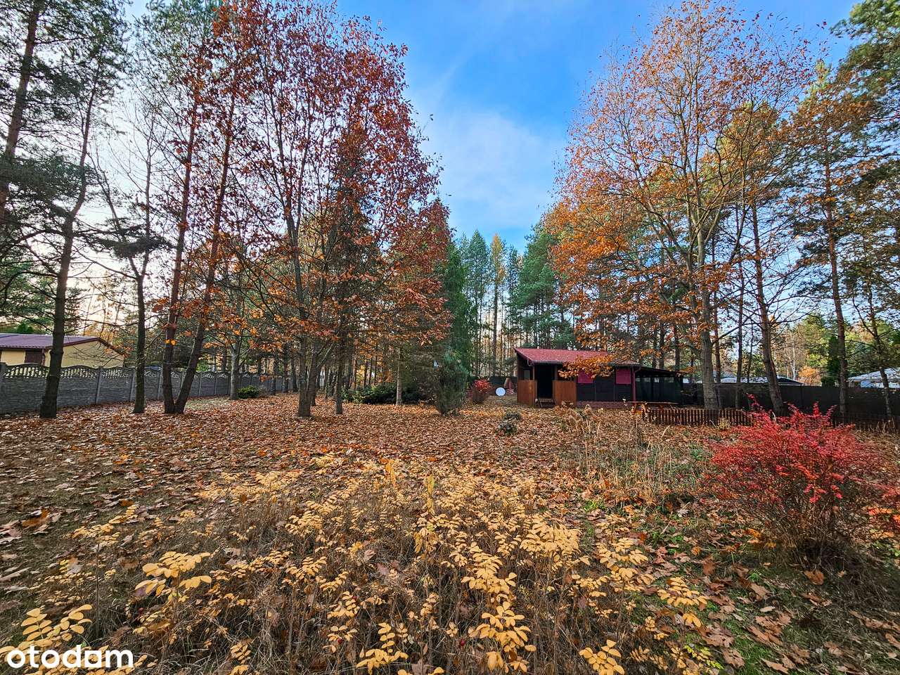 DZIAŁKA BUDOWLANA+LAS |6228 m² | MEDIA W DRODZE | ZALEW PORAJSKI - 3km-11