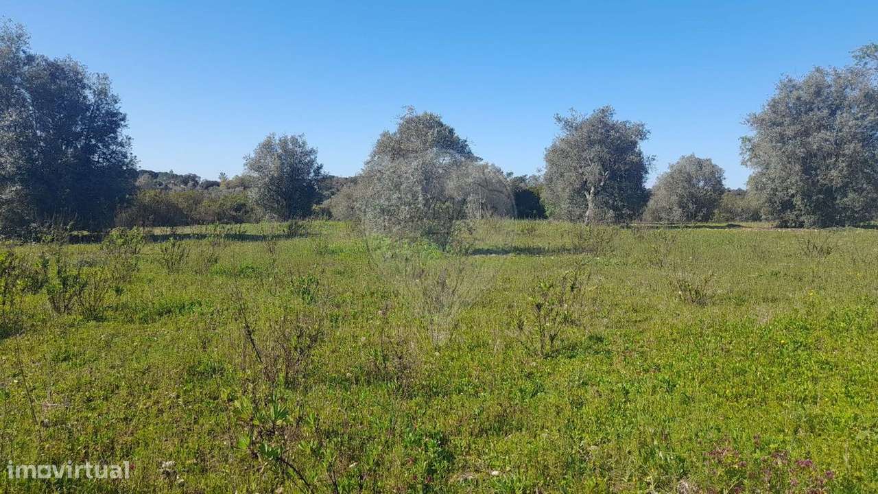 Terreno  para venda - Grande imagem: 2/8