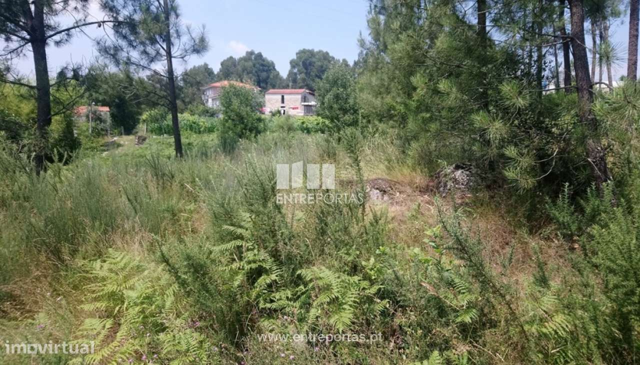 Venda Terreno, próximo rio, Alpendurada e Matos, Marco de Canaveses - Grande imagem: 3/6
