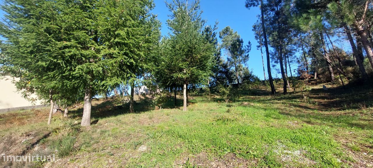 Terreno para Construção Soutulho - Viseu