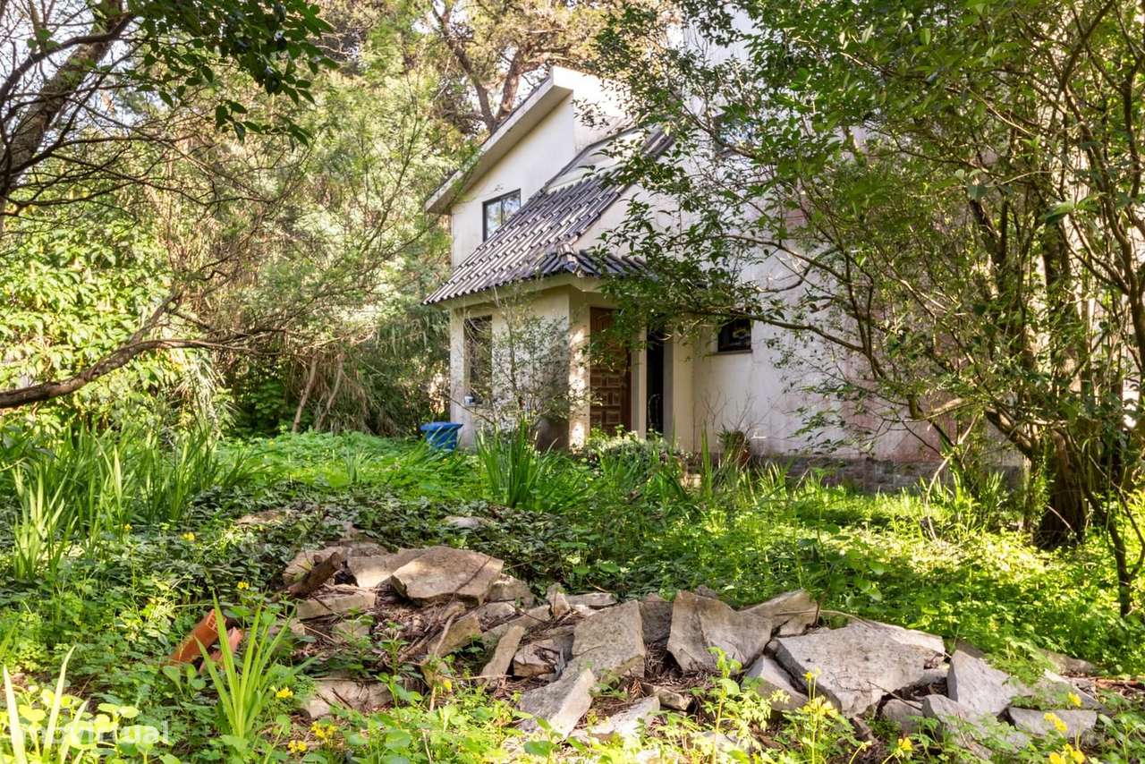 Moradia Isolada T6 com jardim, Birre, Cascais - Grande imagem: 4/34