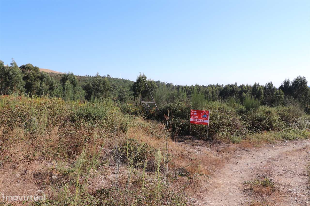 Lote de Terreno  Venda em Lustosa e Barrosas (Santo Estêvão),Lousada - Grande imagem: 4/6