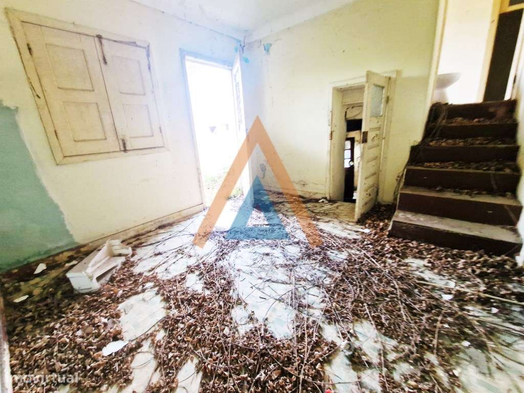 Maravilhosa quinta com casa e terreno-9