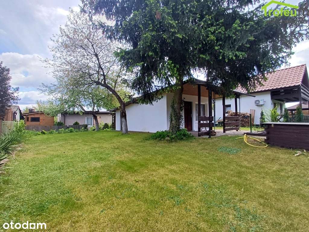 Piękna działka ROD Transportowiec - Pełny obrazek: 5/13