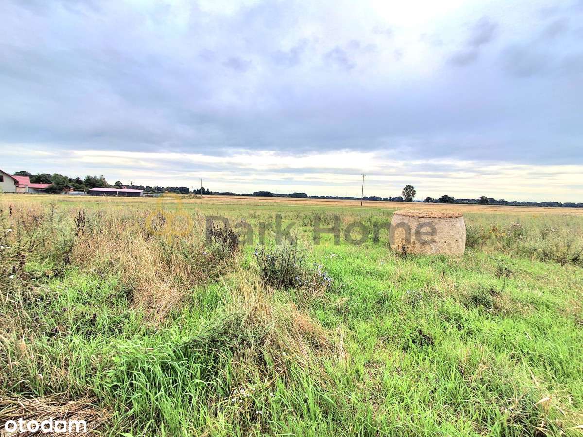 Działka 30 arowa, Droglowice - Pełny obrazek: 4/6