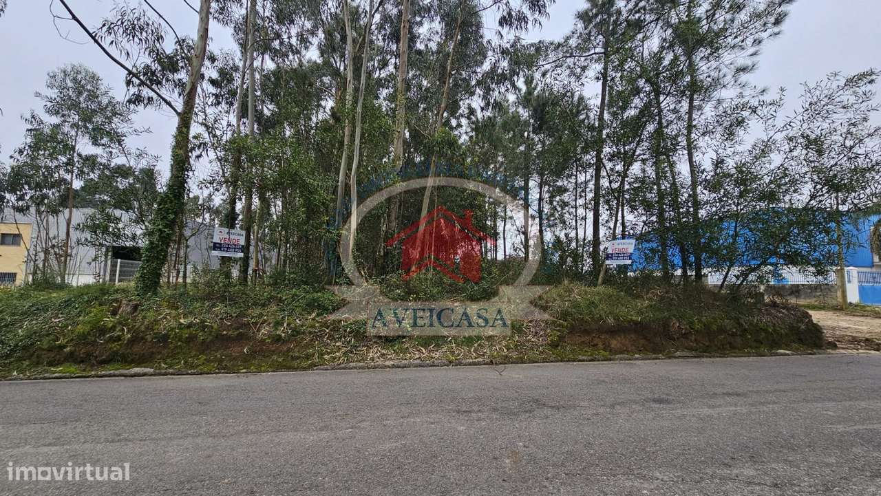 TERRENO DESTINADO A CONSTRUÇÃO DE ARMAZÉM - Grande imagem: 2/2