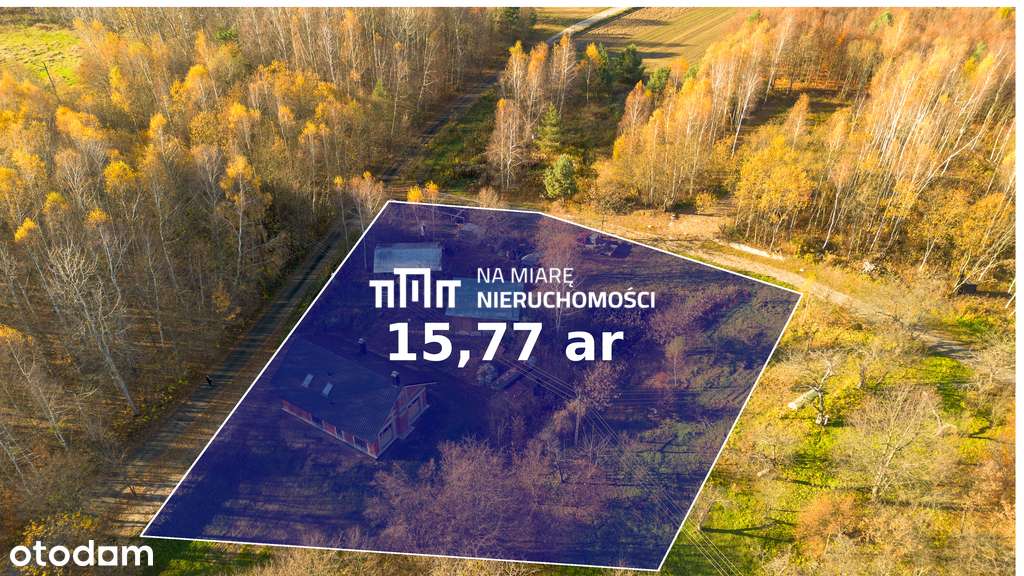 Dom Stan Surowy| 16 AR| Las | Dobry dojazd| - Pełny obrazek: 5/18