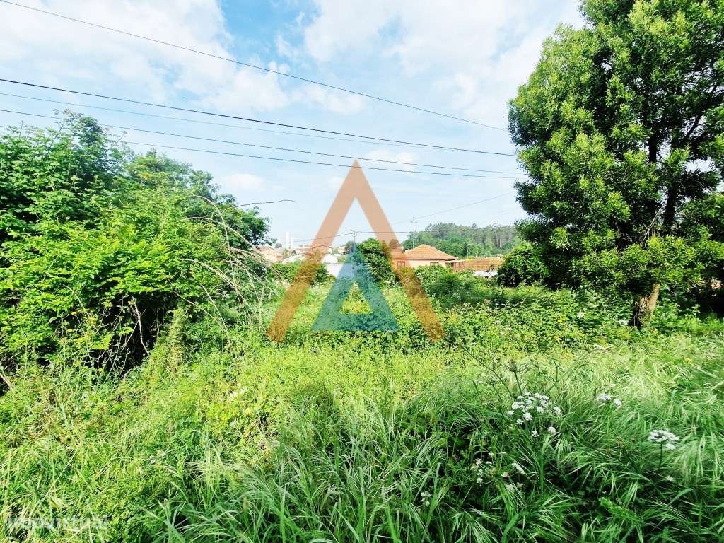 Maravilhosa quinta com casa e terreno-42