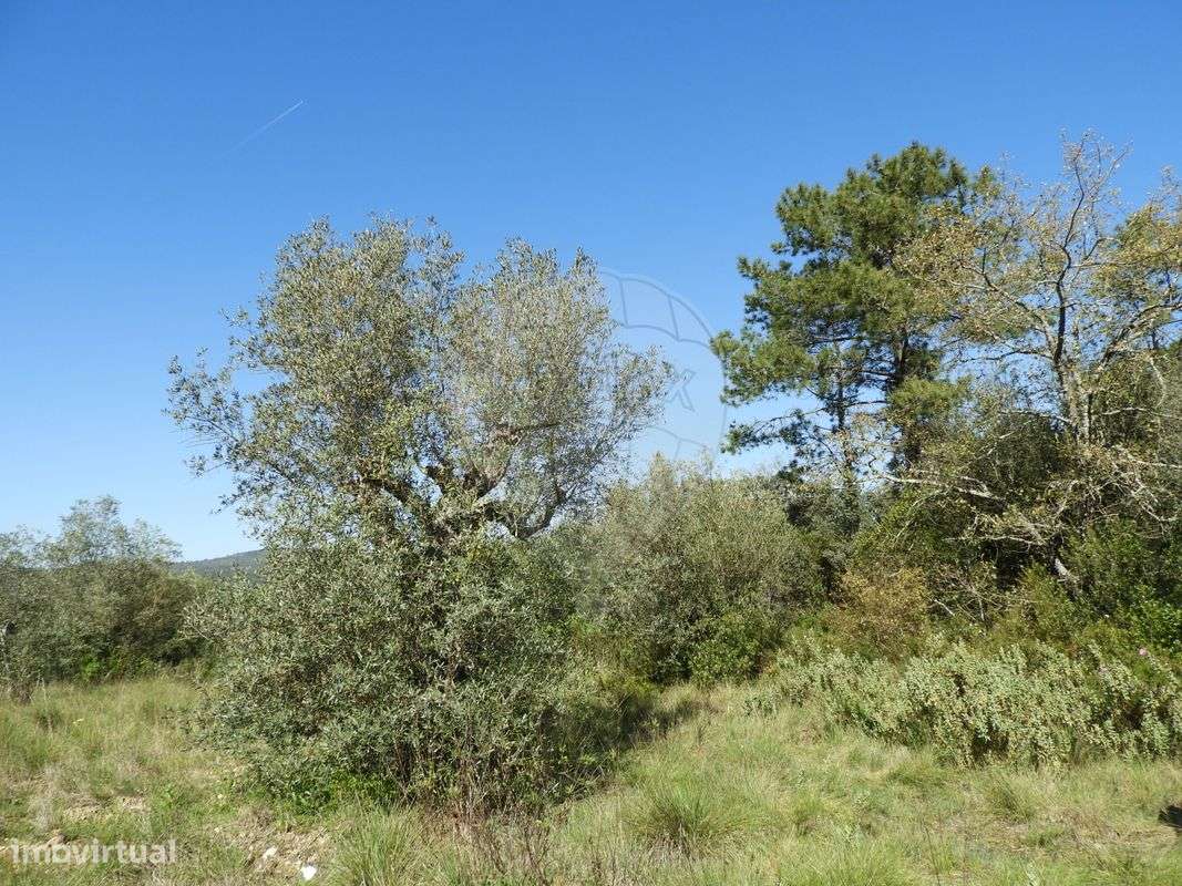 Terreno  para venda - Grande imagem: 4/10