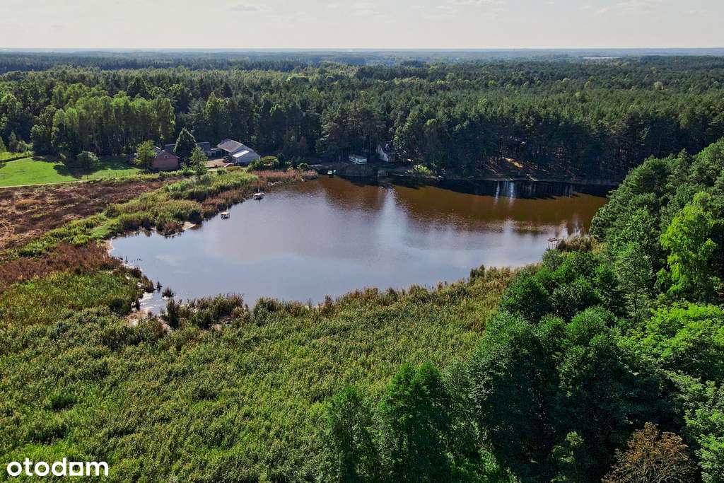 ✅Sprawdź >>> Siedlisko z linią brzegową 2302m2✅ - Pełny obrazek: 4/6
