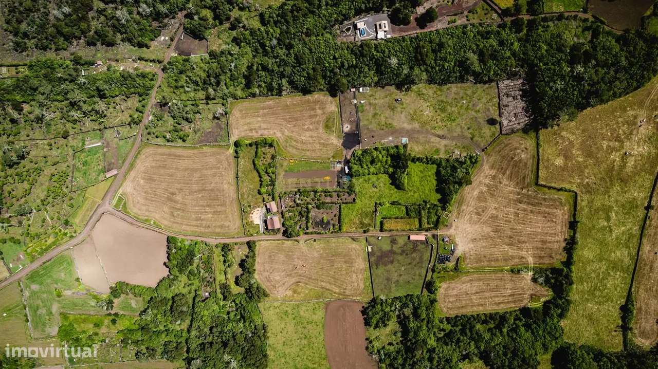 Terreno à Venda na Madalena, Ilha do Pico - 43.000m²-5