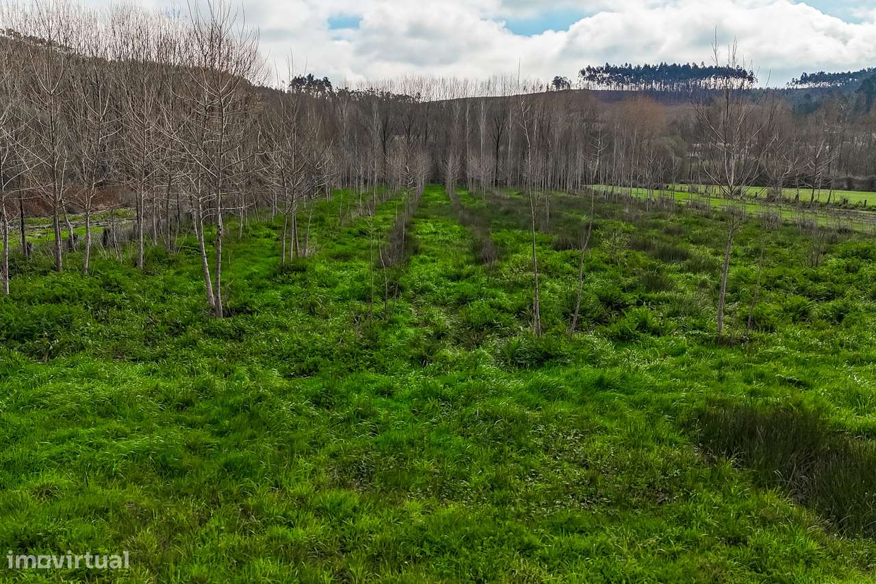 Terreno Rústico  Venda em Associação de freguesias do Vale do Neiva,Po-11