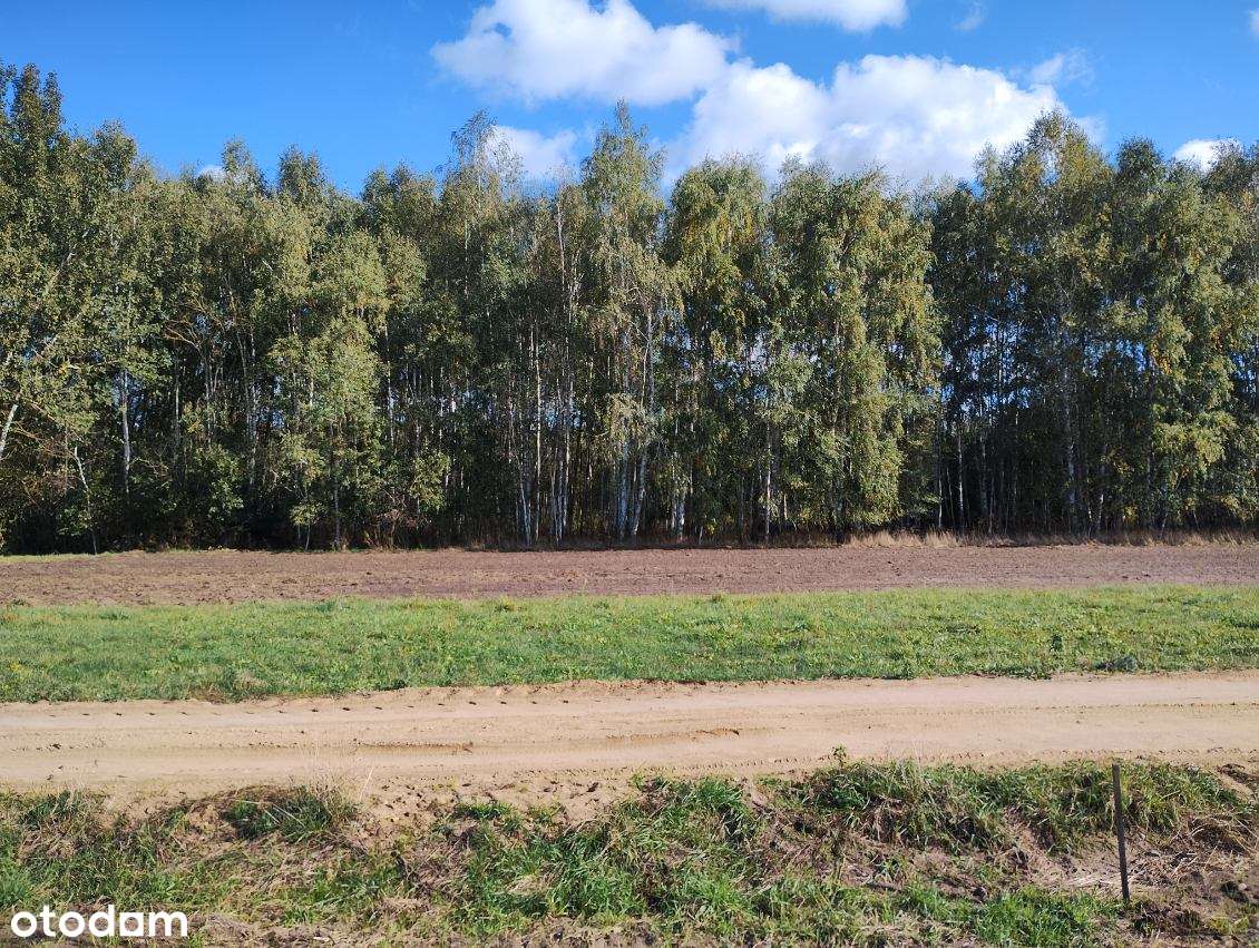 Działka rolna Stare Iganie 5406 m2 - Pełny obrazek: 4/7