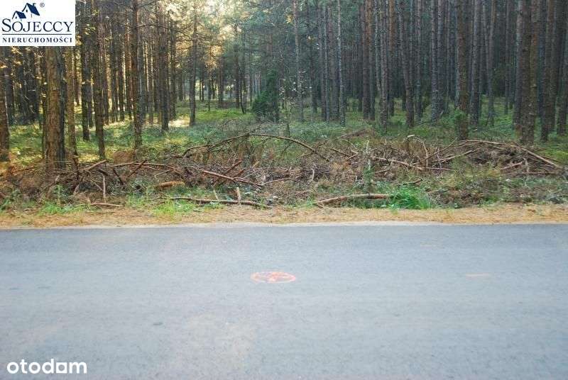 Działka siedliskowa - Krzyż - Pełny obrazek: 4/11