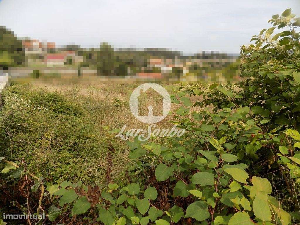 Terreno com 8.100 m2 - Sequeiro - Grande imagem: 4/4