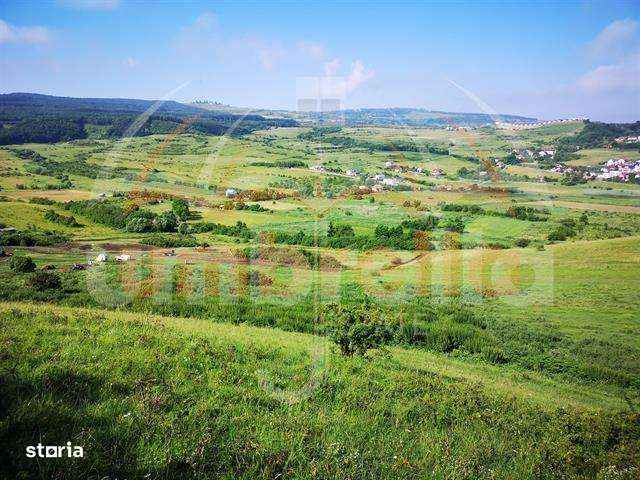 Teren de vanzare intravilan  in Cluj-Napoca, Strada Soporului 11.594m² - Imagine principală: 4/9