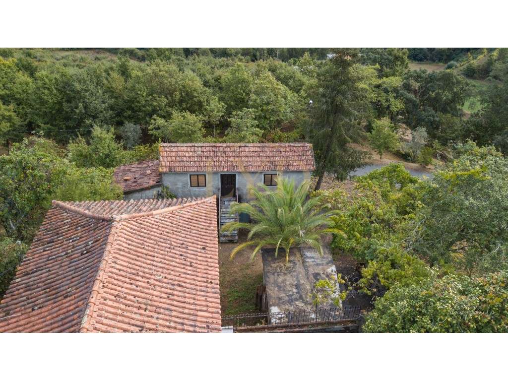 Quinta em Nogueira Paraíso Castelo de Paiva - Grande imagem: 3/27