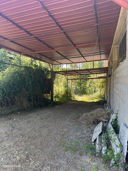 Vendo terreno c/pavilhao - Grande imagem: 5/8