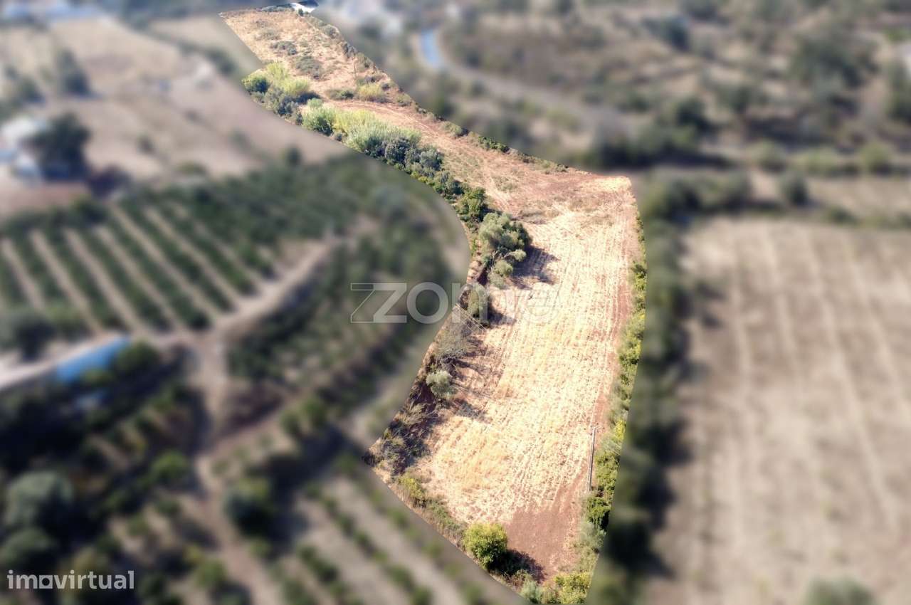 Terreno Rústico com água e energia 13.000 m², Silves. - Grande imagem: 4/15