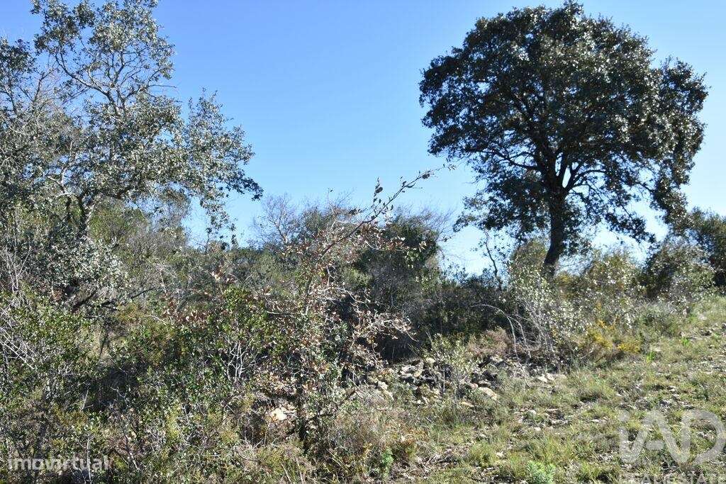 Terreno em Chãos de 2000,00 m2 - Grande imagem: 4/28
