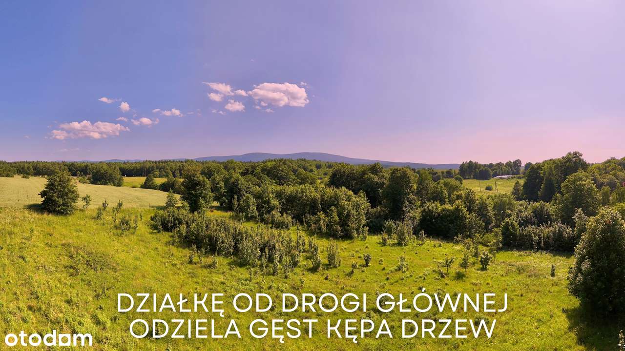 PIĘKNA DZIAŁKA 6336 M²/ŚWIECIE /PIĘKNE WIDOKI/MPZP/MOŻLIWOŚĆ PODZIAŁU-11