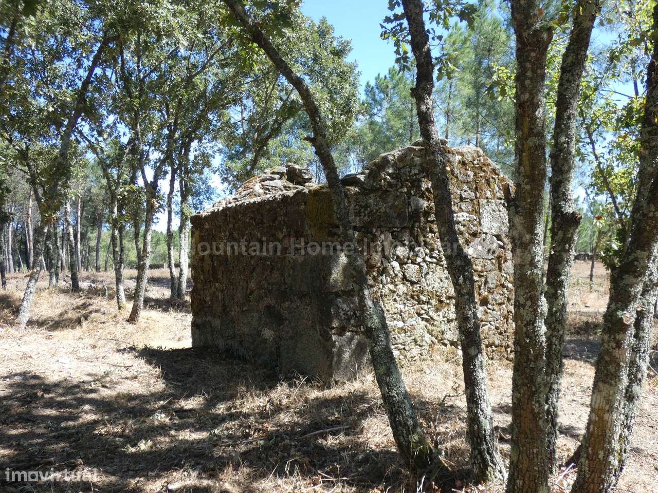 Quinta  Venda em Vila Nova de Tazem,Gouveia - Grande imagem: 2/8
