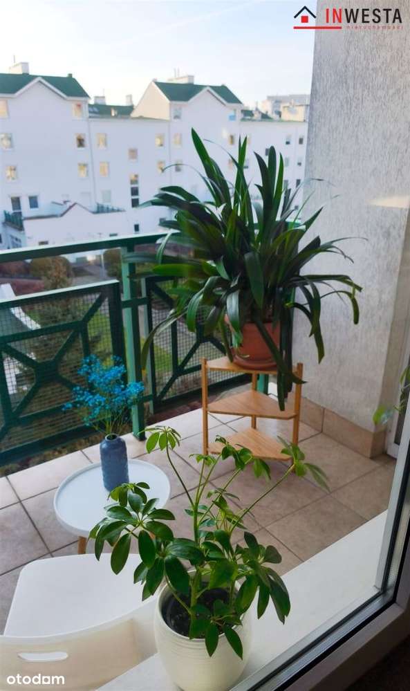 Doskonała lokalizacja ul. Ken 2 pokoje 58 m2-12