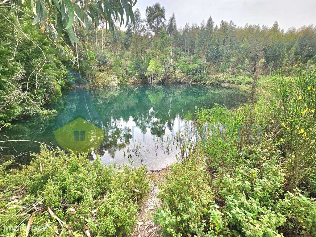 Um excelente terreno, ideal para cultivo, com 3 hectares e com uma ... - Grande imagem: 3/14