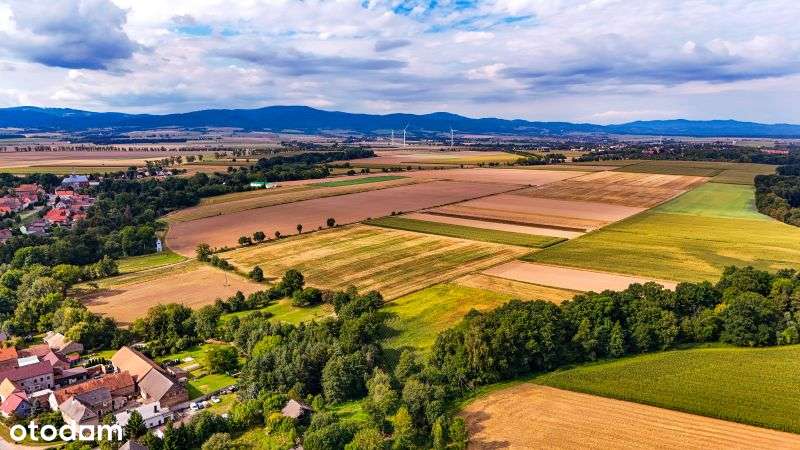 Siedlisko na sprzedaż, Stary Paczków gm. Paczków - Pełny obrazek: 4/14