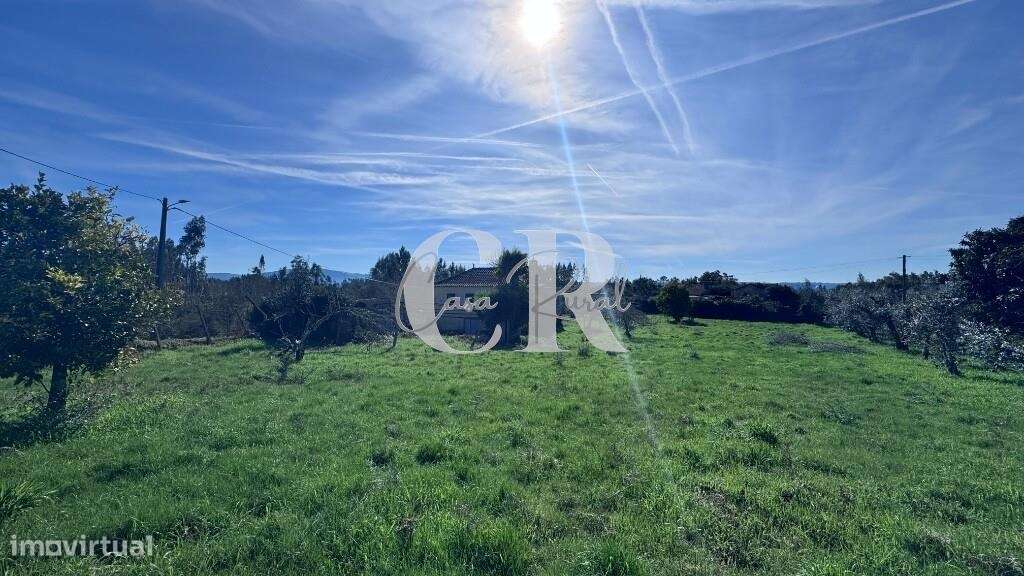 Casa de pedra com terreno e poço-24