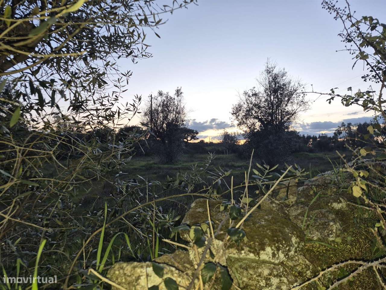 Terreno - Grande imagem: 2/3