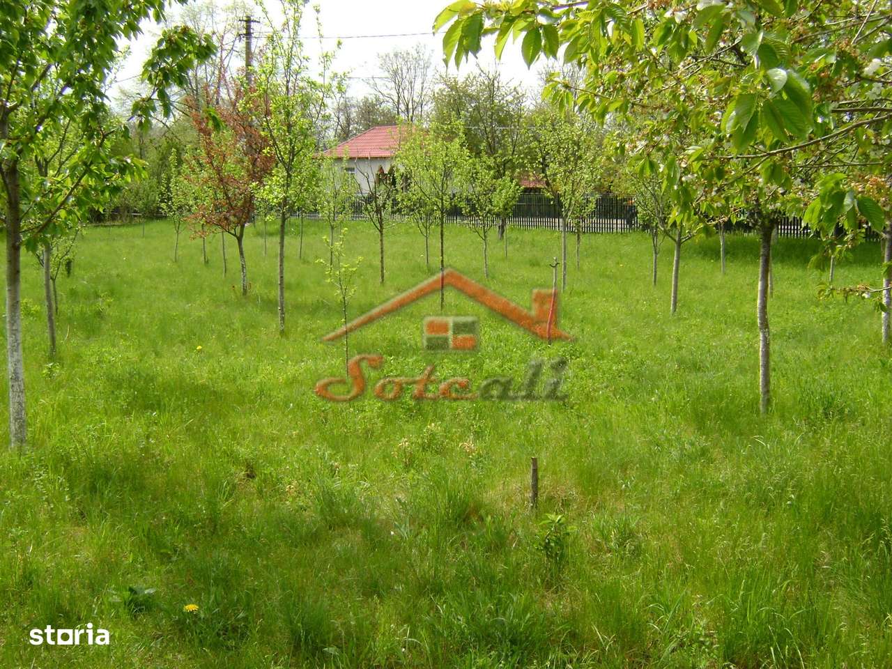 Teren de vanzare in Cornu 1183 mp-0