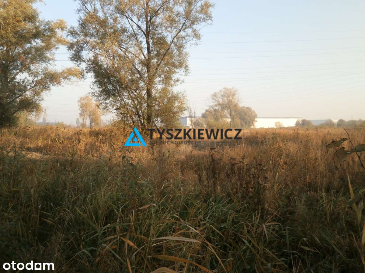 Duża działka rolna na Rudnikach - Pełny obrazek: 1/12