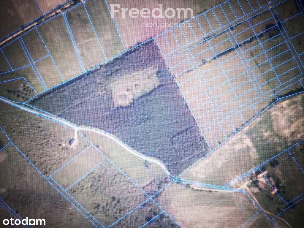 Działki Rolne zabudowane w okolicy jezior. - Pełny obrazek: 4/4