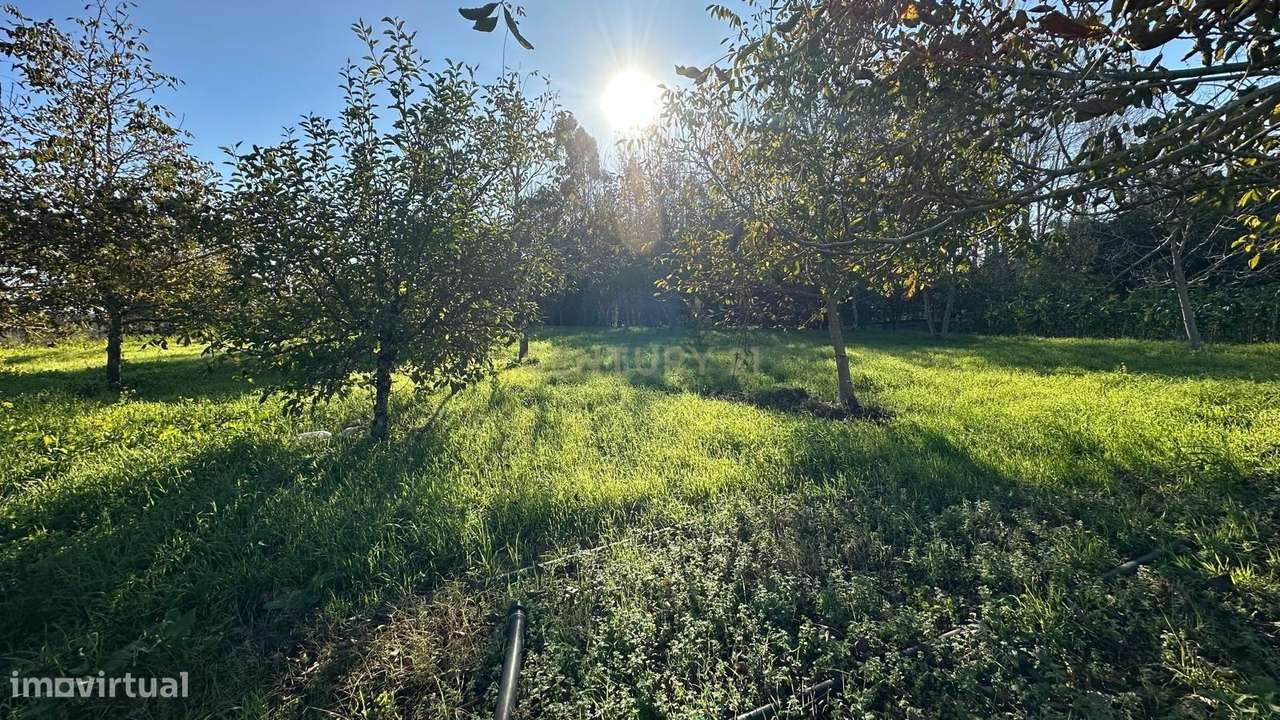 Casa para Recuperar em Oiã, Oliveira do Bairro-8