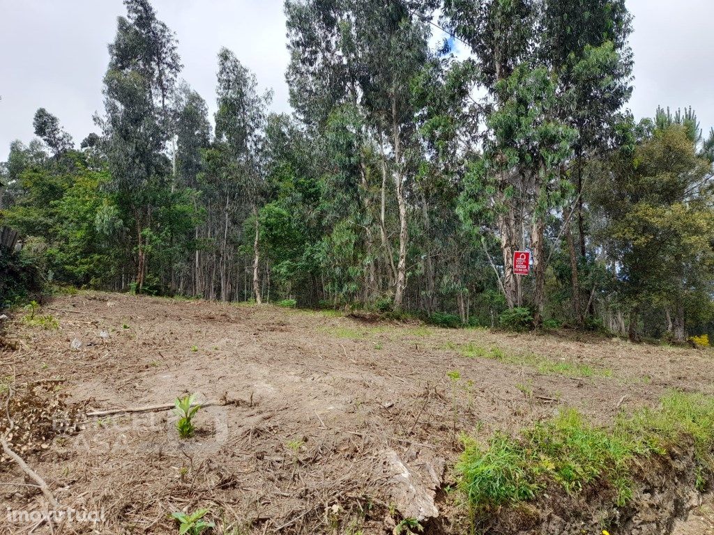 Terreno de construção em Palme - Barcelos