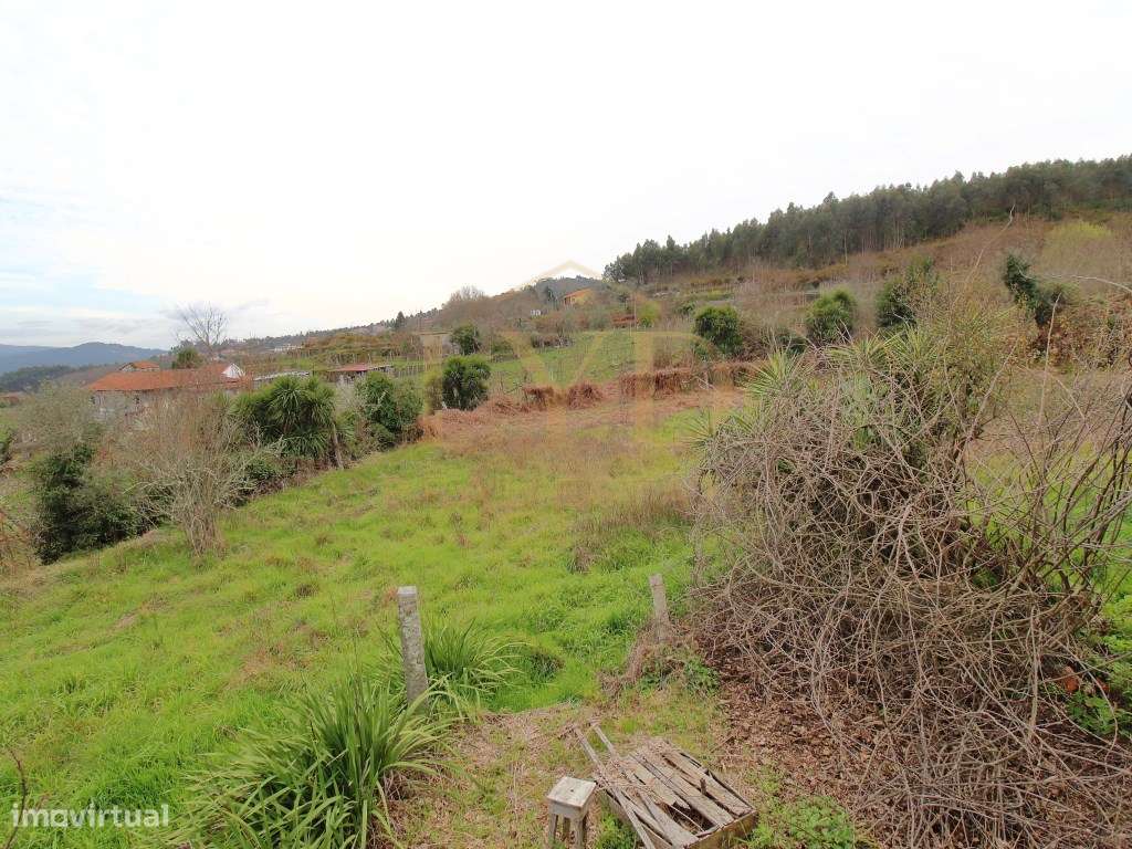 Quintinha para recuperar em Luzim Penafiel - Grande imagem: 5/15