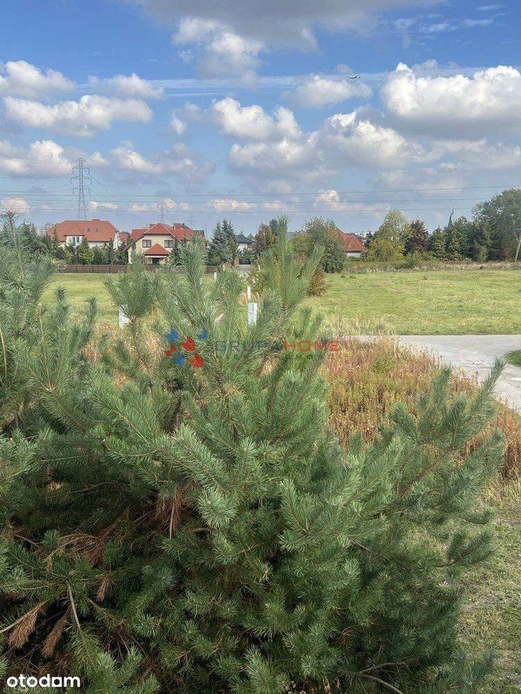 Wszystkie media blisko szkoły - Pełny obrazek: 5/8