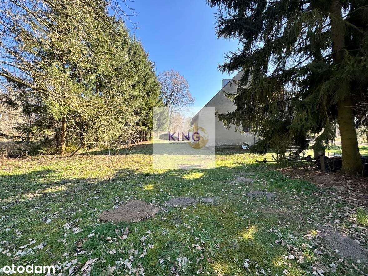 Dom nad jeziorem - pierwsza linia - Pełny obrazek: 4/16