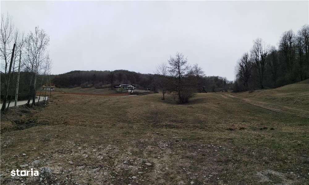 teren de vanzare in zona Poiana Campina - Imagine principală: 5/17