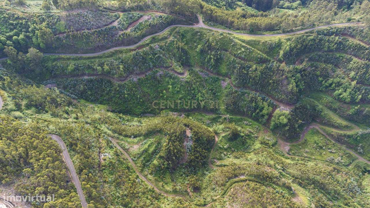 Terreno de 120.000m² com Potencial Agrícola - Campanário - Grande imagem: 3/11