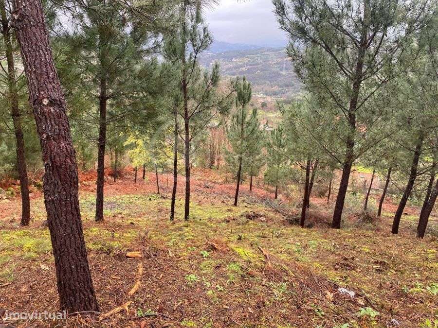 Parcela de Terreno em Paredes de Viadores - Grande imagem: 5/5