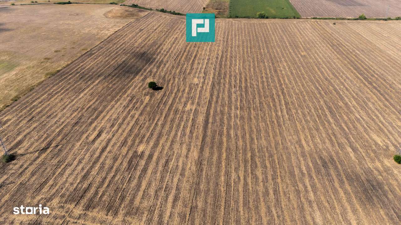 Oportunitate! Teren 4.345 mp – Şagului - Imagine principală: 4/10