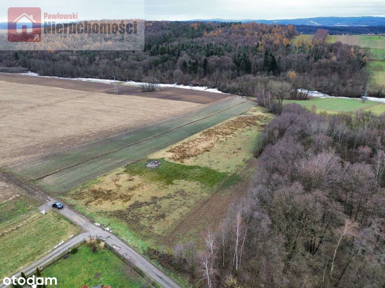 Działka, 6 000 m², Grabie - Pełny obrazek: 5/9