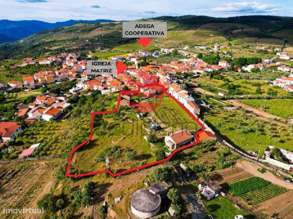 QUINTA C/ 3 MORADIAS INDEPENDENTES, ARMAZÉM, ANEXOS E TERRENO-1